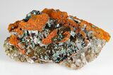Rosasite, Selenite and Calcite Crystal Association - Mexico #180776-1